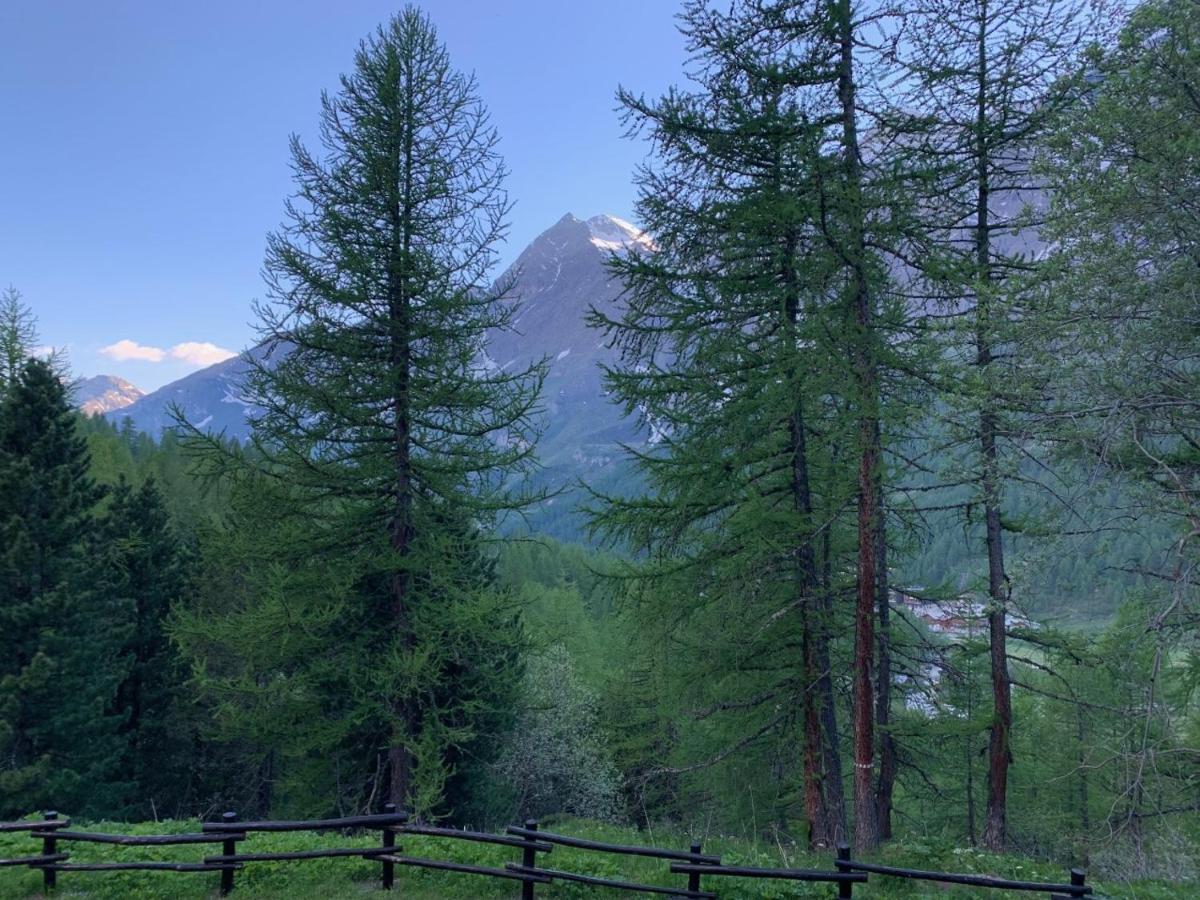 Casa Camas, Wide 2Bedroom, Feel The Mountain Бройл-Червиня Екстериор снимка