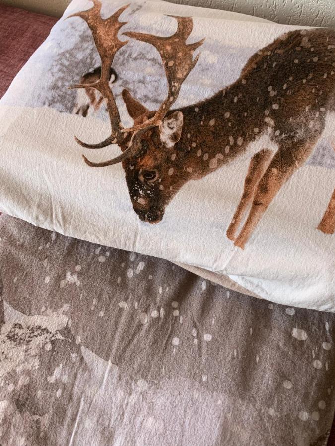 Casa Camas, Wide 2Bedroom, Feel The Mountain Бройл-Червиня Екстериор снимка